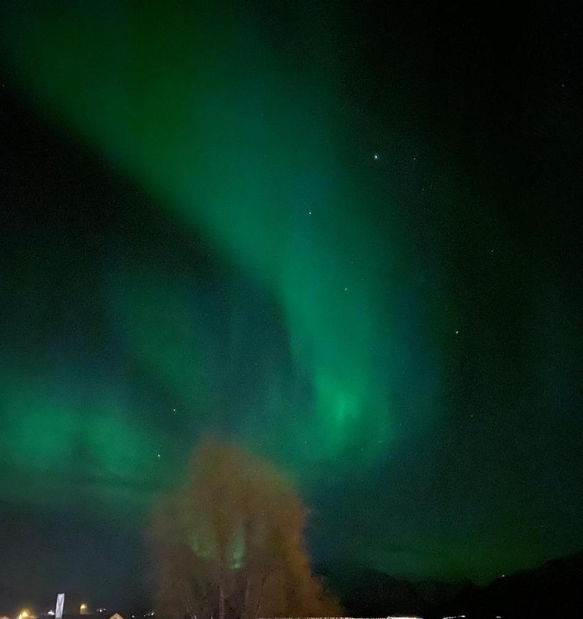Lyngen, Mackay Appartment, Lyngen Lyngseidet Экстерьер фото