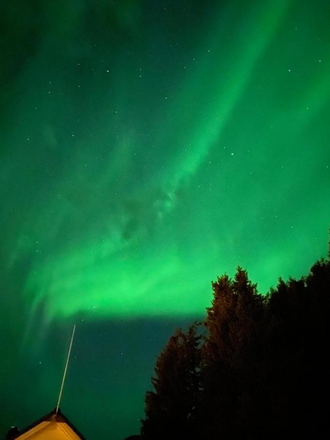 Lyngen, Mackay Appartment, Lyngen Lyngseidet Экстерьер фото