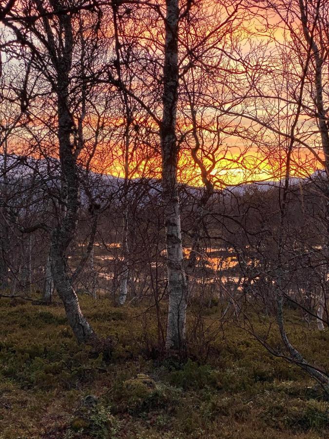 Lyngen, Mackay Appartment, Lyngen Lyngseidet Экстерьер фото